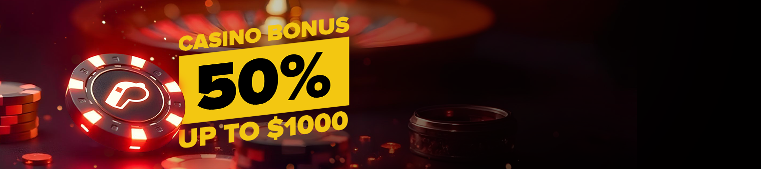 Casino Bonus up to 1000$