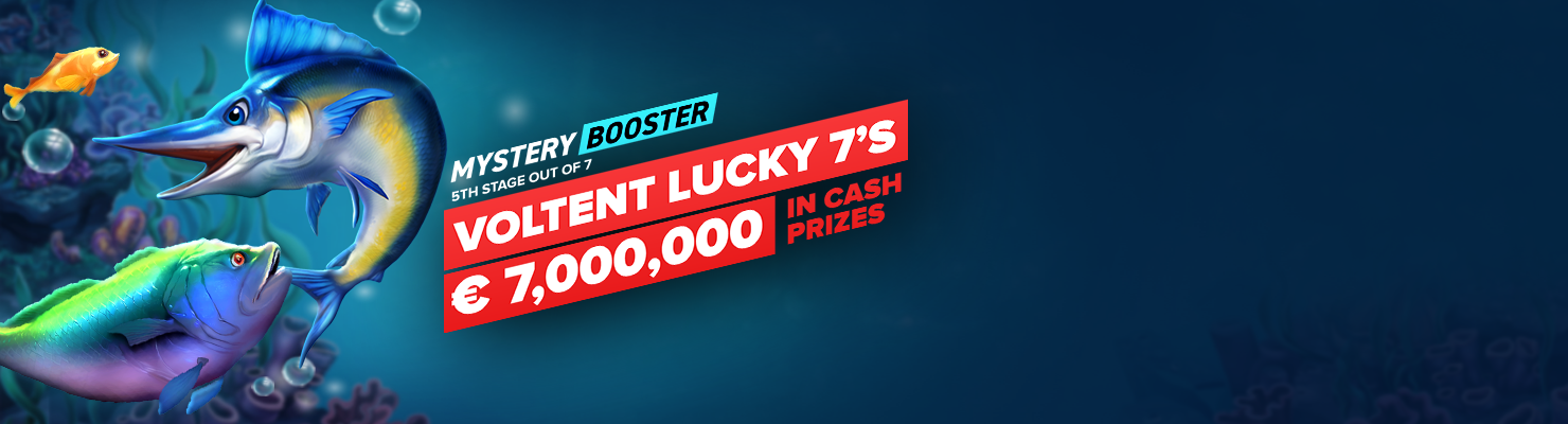 WinBooster
